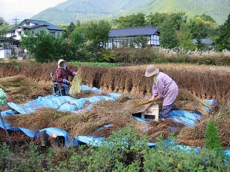 Village Inn Seizanso Matsumoto Exterior foto
